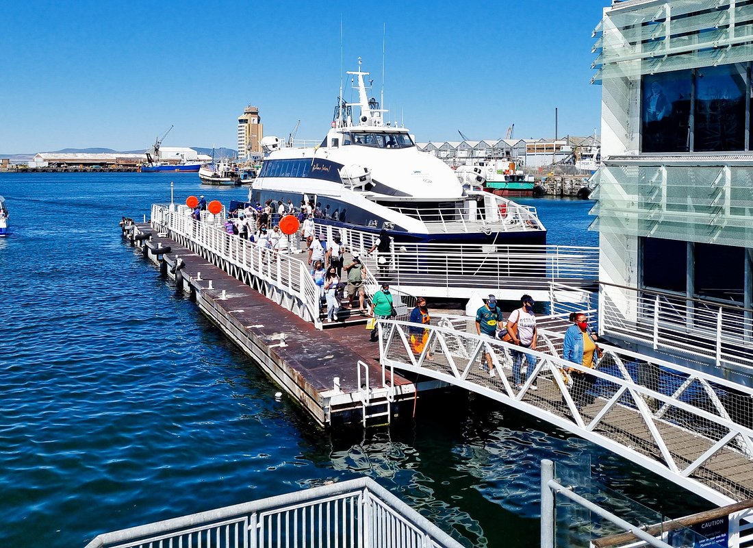 Festival visitors at a performance venue
